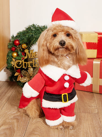 Small Dog Christmas Costume