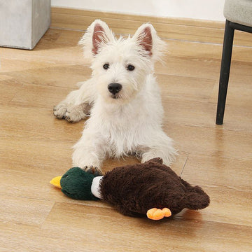 Pets Plush Stuffed Squeaky Duck Toy