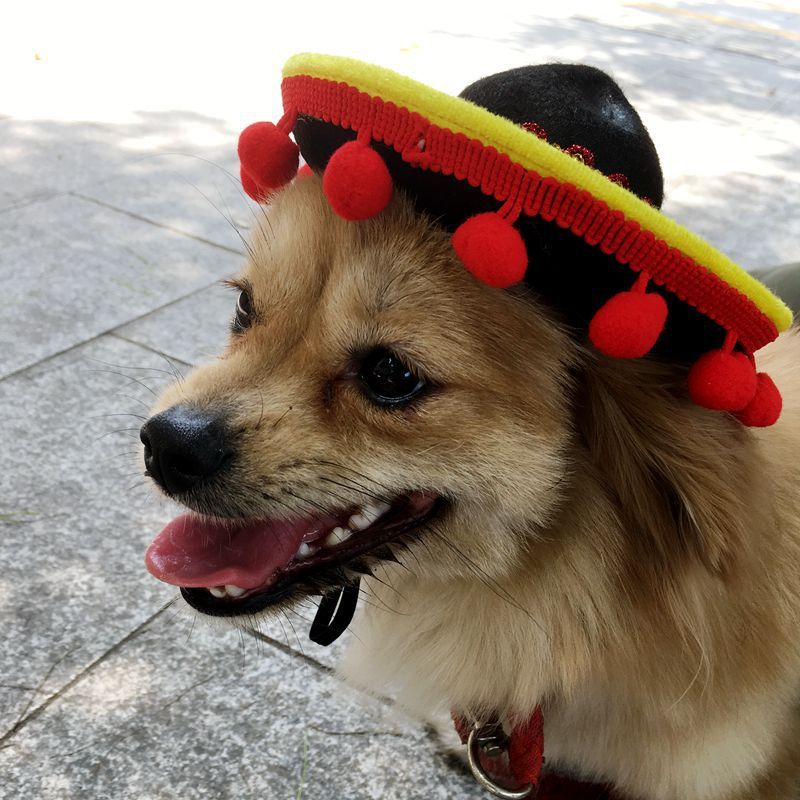 Mexican Style Pet Dog Hat