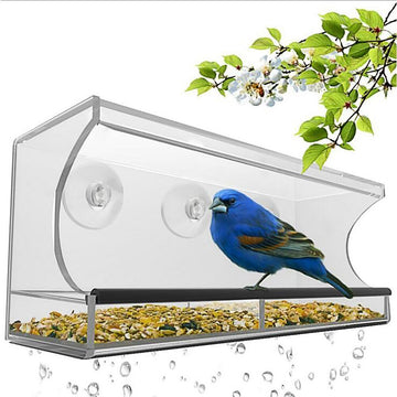 Bird pet Feeder