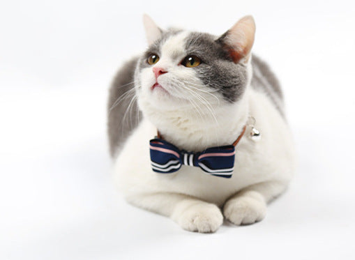 Pet collar bow tie