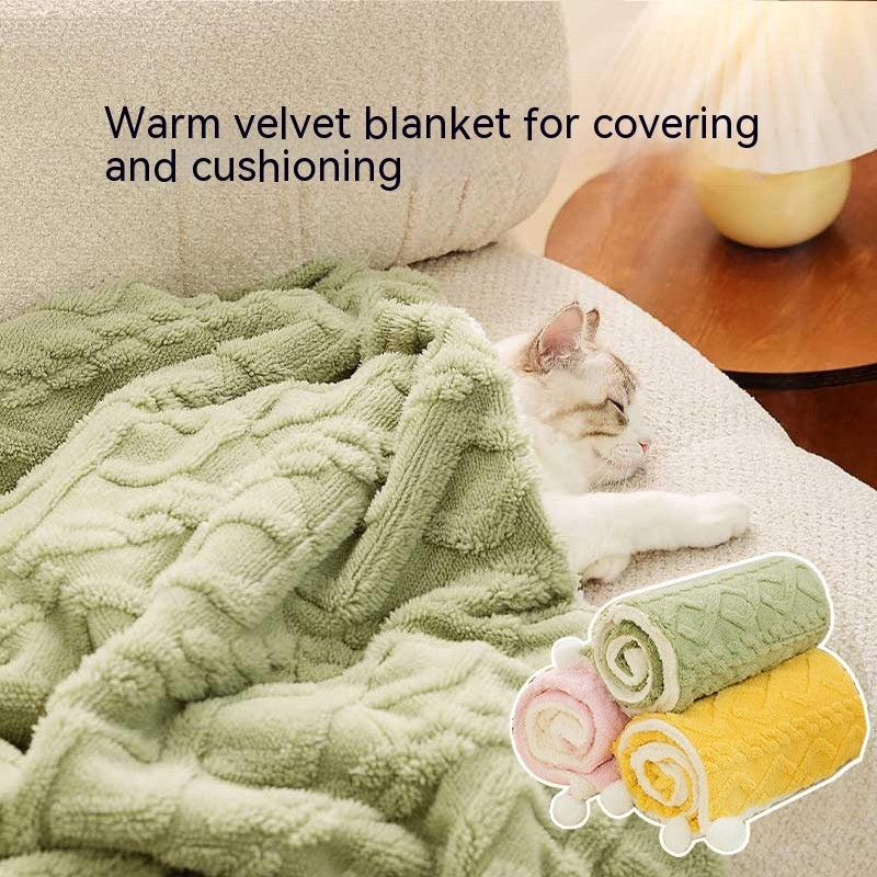 Pet Warm Blanket