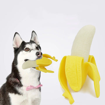 Pet Banana Interactive Toy