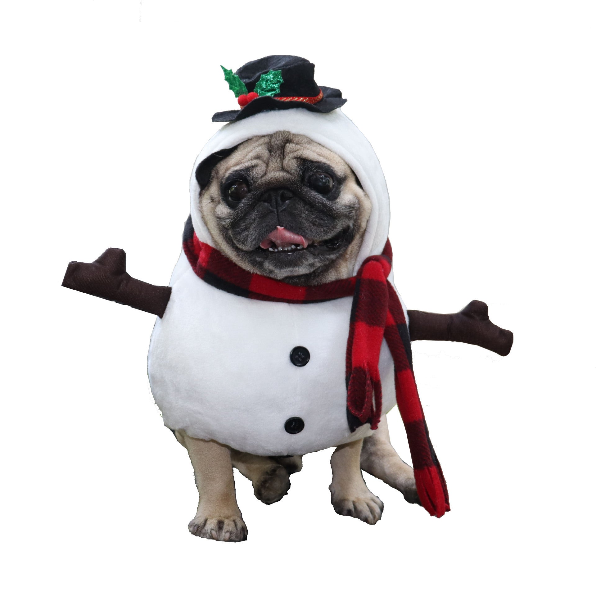 Christmas Snowman Pet Costume